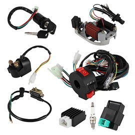 Wacece Electric Wiring Harness Relay Stator Coil CDI Solenoid Spark Plug for 49cc 50cc 70cc 80cc 90cc 100cc 110cc 125cc ATV Taotao Coolster 4 Wheeler Quad Go Kart KLX Pit Bike Scooter