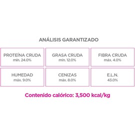 Nupec, Croquetas para Perros, Adulto Razas Pequeñas, 8 kg, El empaque Puede Variar