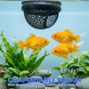 Bruislard 2 PCS Betta Bed, Floating Betta Hide & Shrimp