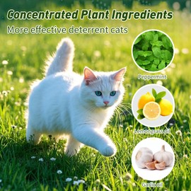 Silloit Cat Deterrent Outdoor 24 Pack, More Effective Natural Peppermint Cat Deterrent Indoor, Keep Cats Out of Plants, Yards, Gardens from Cats and Dogs Educational Deterrents