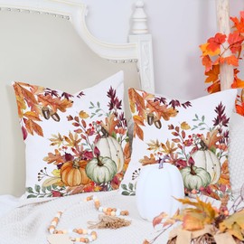 AACORS Fall Pillow Covers 20x20 Set of 2,Pumpkins Maple Leaves Decorations Floral Farmhouse Autumn Throw Pillow Case Decor for Home Sofa Couch AA559-20-2