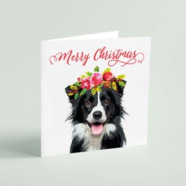 Border Collie Christmas Card - Pack of 4 Cards Same Design - Sheep Dog Xmas