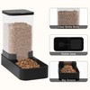 Wefeedy Automatic Cat Feeder and Water Dispenser in Set with