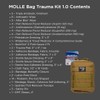 Adventure Medical Molle Bag Trauma Kit 1.0 (Khaki Bag)