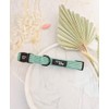 SAGE GREEN CORD DOG COLLAR M