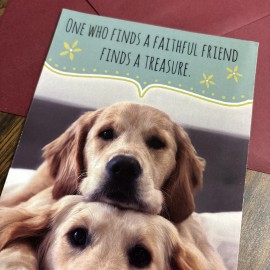 Unbranded Birthday or Friendship Cute Dog 4.6”x7” Blank Inside Greeting Card