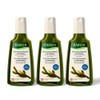 Rausch Oily Shampoo Degreasing Seaweed Scalp Care Shampoo 200ml 3pcs / 라우쉬 지성 샴푸 디그리징 씨위드 두피케어 샴푸 200ml 3개