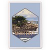Monterey, California, Cypress Tree, (52 Playing Cards, Poker Size Card