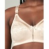 Wonderbra Womens Double Support Wirefree Bras, Soft Taupe, 36C US