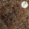 Xenatural - Té TLANCHALAHUA - Infusion Natural Herbal - Excelente