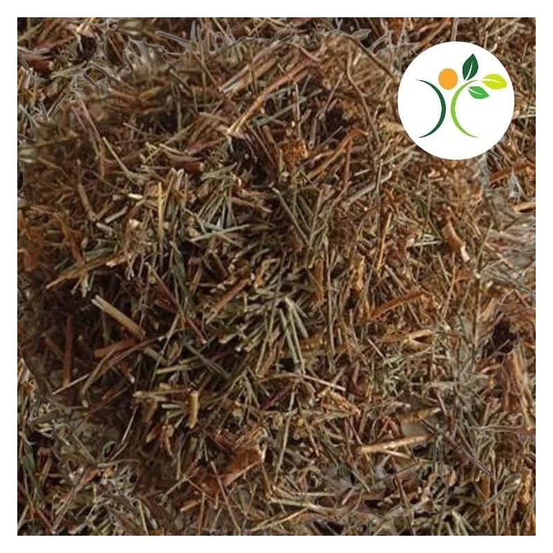 Xenatural - Té TLANCHALAHUA - Infusion Natural Herbal - Excelente