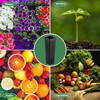 Hzloyat 50 Pcs Plastic Deep Nursery Treepots, 9.8" Tall Nursery