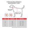 Puppia Blitzen - Arnés B, Grande, Color Rojo