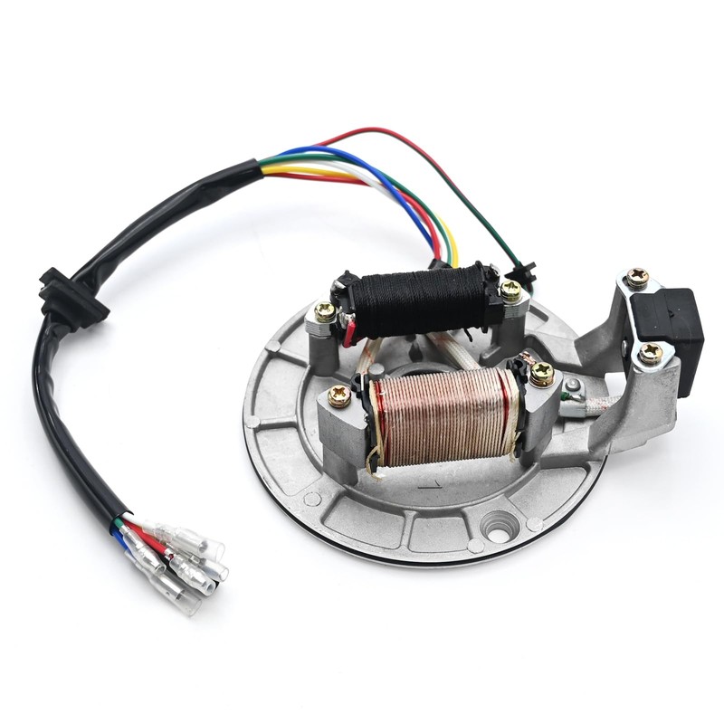 EATAKWARD SSR 125 Stator 2 Coil Magneto Stator Replacement for