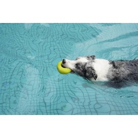 POMOSAVIDA+PTL0032+Donut+pet Toy chew Toy Squeaky Toy Dog Toy Interactive Dog Toy Emulsion Toy, Size:94 * 94 * 30mm, 60g, chew Toy Dog, chew Toys for Aggressive chewers, Best Puppy chew Toys