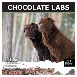 MICASA Chocolate Labs 2025 Wall Calendar 12 Month | 12" x 24" Open | Thick & Sturdy Paper | Giftable | Calendar 2025