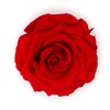 Rosen-Te-Amo Real Red Rose Petals, 30 g, Preserved Rose Petals,