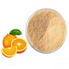 Orange Concentrate Powder 1kg