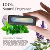 Below 60 Mint Disco on Ice | Natural Scent Oil