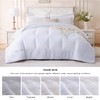 FreshCulture Queen Comforter Set - 7 Pieces All Season Luxury