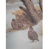 Guy Coheleach "Bobwhite" Signed Print 16 x 20" 1978 Regency