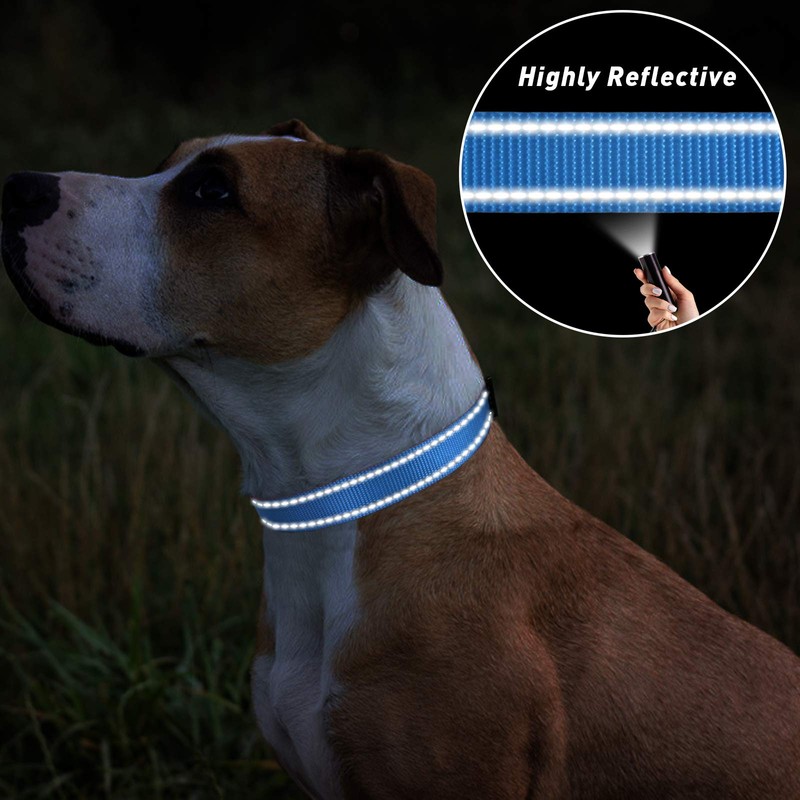 TagME Small Dog Collar, Adjustable Reflective Nylon Pet Collar with