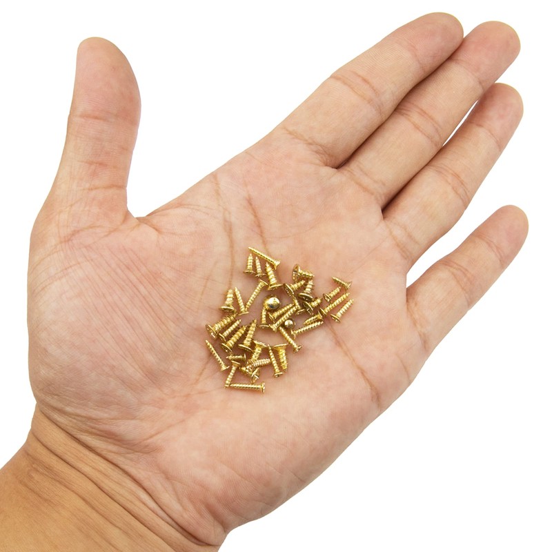 Rrina 1150Pcs M2 M3 Gold Plate Carbon Steel Small Screws