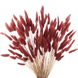 CISDUEO 120pcs Dried Bunny Tails Flowers Lagurus Ovatus Tail Dried Flowers Pampas Grass Red Brown Natural Dried Floral Arrangement for Boho Decor Home Wedding DIY Farmhouse Table Christmas