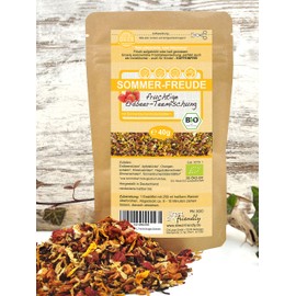direct&friendly Bio Tee fruchtige Erdbeer Teemischung 40g (Sommer)