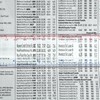 Carson MR-20 MagniRule 1.5x Bar Magnifier with 30 Centimetre Ruler