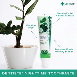 Dentiste Plus White Nighttime Toothpaste Tube 160g x 2 + Nighttime Toothpaste 50g