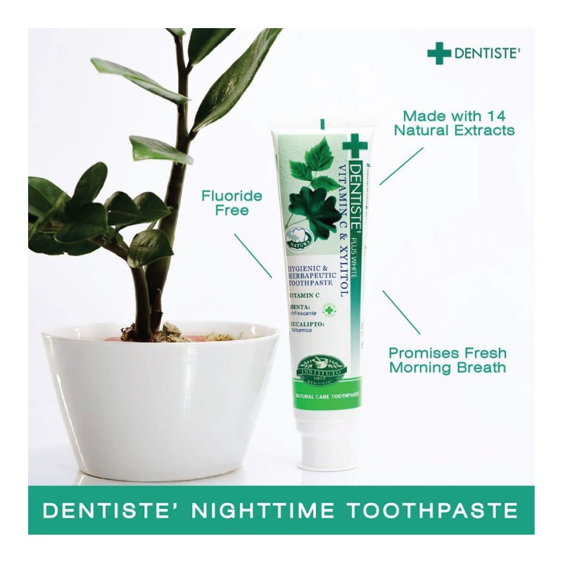 Dentiste Plus White Nighttime Toothpaste Tube 160g x 2 +