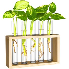 Hydroponic Plant Stand, Wall Hanging Test Tube Planter, Plant Terrarium with Wooden Stand and 5 Test Tubes, Tabletop Terrarium Planter for Home Office Decoration (Beige)