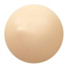 Canmake Poerless Remaker 01 Makeup Foundation Pure Beige 8.5 Gram