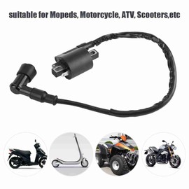 CYTGOUPER Motorcycle 2 Pin Ignition Coil for CBF125 CBR125 CR125 CR250 - Replacement Engine Ignition Coil for ATV Scooter Moped Go Kart