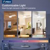 Amico Ceiling Fans with Lights, 30 inch Low Profile Ceiling