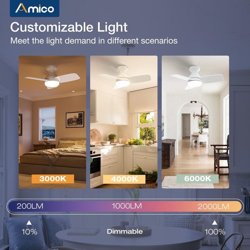 Amico Ceiling Fans with Lights, 30 inch Low Profile Ceiling