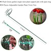 Plant Stake Support - 6 Pack, Garden Single Stem Support