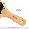 Vega Wooden Bristle Paddle Brush, Small