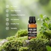 Essential Oil Refill Set for Car and Home Diffusers, 6
