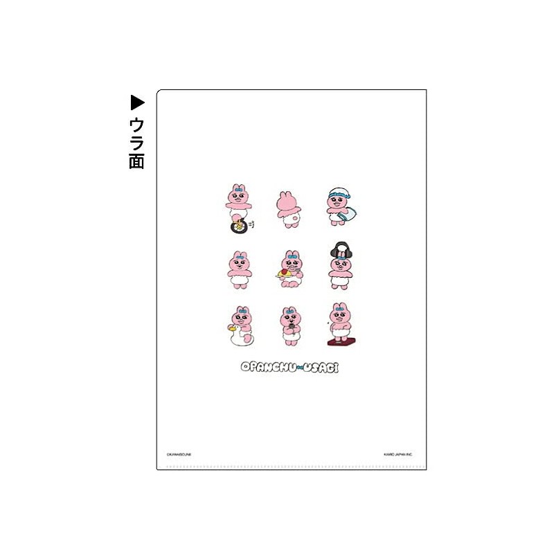 Panchusagi 210300 Clear File Flyer 3009 Kamio Japan Popular Alasni