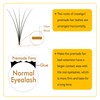 COAST GIRL Premade Fans Eyelash Extensions 3D 4D 5D 6D