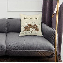GICHUGI Boa Constrictor Snake Pillow Covers - Boa Constrictor Gift, Snake Owner Gifts for Women Men, Anatomy of a Boa Constrictor Pillow Covers, Funny Snake Vintage Decorative Throw Pillow Case