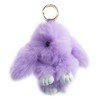 Sqzrpomddy Keychain, Keychain, Cute, Rabbit, Fluffy, Keyring, Bag Hanging Decoration,