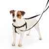 Freedom No-Pull Harness ONLY (1" Wide Medium (23"-28"), Black w/Silver