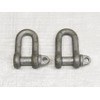 X2 1 Ton Galvanised Small Dee Shackle with Screw Pin