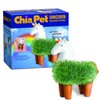 Chia CP437-01 Pet Unicorn Decorative Pottery Planter, Easy to Do