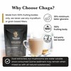 Ancient Extracts Chaga Mushroom Extract Powder - Minimum 30% Beta