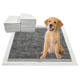 3Q Charcoal Puppy Pee Pads, 100 Count 22 x 22 Inch Leak-Proof Pet Training Pads for Dogs, Quick Absorb 6-Layer Design, Ideal for Puppies, Cats, Rabbits, and Guinea Pigs