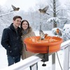 HRAYLTOP Deck Mounted Heated Bird Bath for Outdoors for Winter,